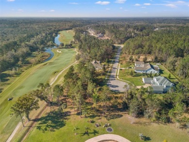 You truly cannot appreciate the magnificent view of this lot on Southern Hills Plantation Club in Florida - for sale on GolfHomes.com, golf home, golf lot