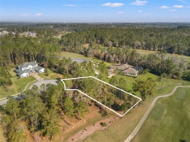 You truly cannot appreciate the magnificent view of this lot on Southern Hills Plantation Club in Florida - for sale on GolfHomes.com, golf home, golf lot