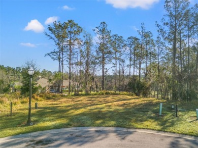 You truly cannot appreciate the magnificent view of this lot on Southern Hills Plantation Club in Florida - for sale on GolfHomes.com, golf home, golf lot