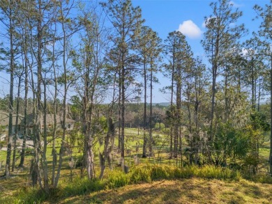 You truly cannot appreciate the magnificent view of this lot on Southern Hills Plantation Club in Florida - for sale on GolfHomes.com, golf home, golf lot