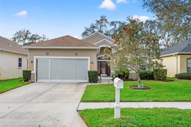 Welcome to 12129 Loblolly Pine Dr, a beautifully maintained on Summertree Golf Course in Florida - for sale on GolfHomes.com, golf home, golf lot