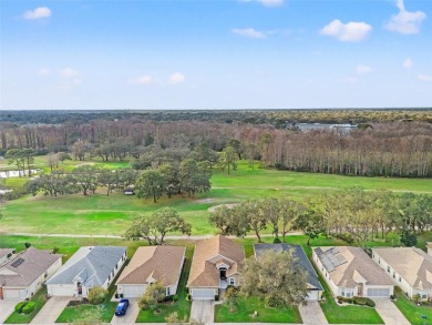 Welcome to 12129 Loblolly Pine Dr, a beautifully maintained on Summertree Golf Course in Florida - for sale on GolfHomes.com, golf home, golf lot