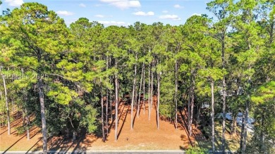 Set within the desirable Belfair golf community, this expansive on Belfair Golf Club in South Carolina - for sale on GolfHomes.com, golf home, golf lot