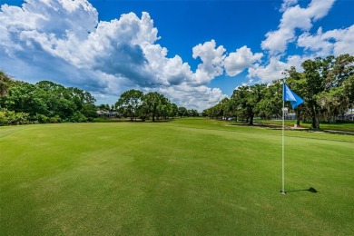 One or more photo(s) has been virtually staged. Nestled within on The Eagles Golf Course and Club in Florida - for sale on GolfHomes.com, golf home, golf lot