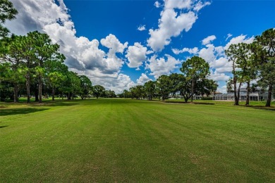 One or more photo(s) has been virtually staged. Nestled within on The Eagles Golf Course and Club in Florida - for sale on GolfHomes.com, golf home, golf lot