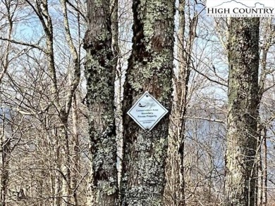 PRIVATE location at the end of Moss Rock Lane on Sugar Mountain on Sugar Mountain Golf Course in North Carolina - for sale on GolfHomes.com, golf home, golf lot