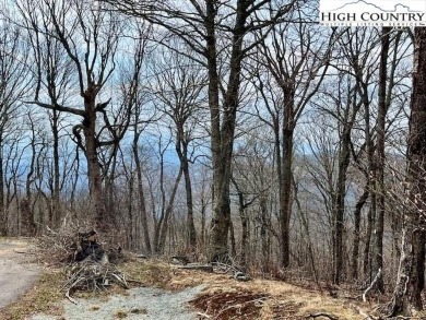 PRIVATE location at the end of Moss Rock Lane on Sugar Mountain on Sugar Mountain Golf Course in North Carolina - for sale on GolfHomes.com, golf home, golf lot