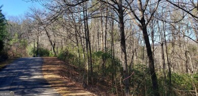 PRIVATE nearly end of road 1 Acre long lot just before on Innsbruck Resort and Golf Club in Georgia - for sale on GolfHomes.com, golf home, golf lot
