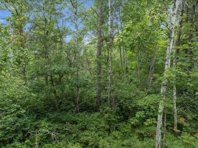 Perfect opportunity for you to build your forever home or cabin on Breezy Point Golf Course Resort in Minnesota - for sale on GolfHomes.com, golf home, golf lot