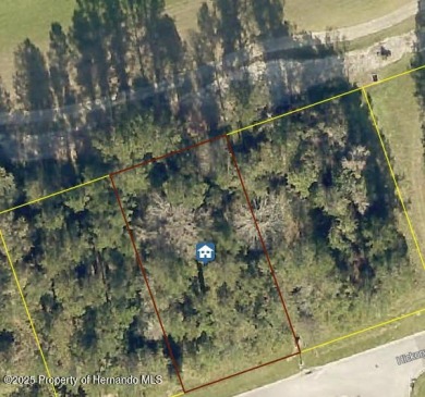 Already connected to public sewer, public water, electricity on Southern Hills Plantation Club in Florida - for sale on GolfHomes.com, golf home, golf lot