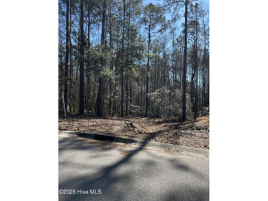 Build your dream home in Mill Creek Cove! Neighborhood features on Carolina National Golf Club in North Carolina - for sale on GolfHomes.com, golf home, golf lot