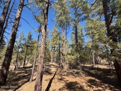 Ready to Build your dream Home? Come take a look at this on Torreon Golf Club in Arizona - for sale on GolfHomes.com, golf home, golf lot