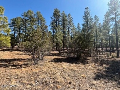 Ready to Build your dream Home? Come take a look at this on Torreon Golf Club in Arizona - for sale on GolfHomes.com, golf home, golf lot