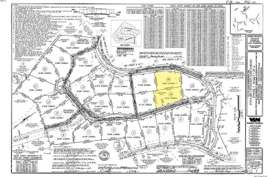 SPECIAL HOMESITE TO BUILD YOUR PERFECT RESIDENCE! Improved on Reems Creek Golf Club in North Carolina - for sale on GolfHomes.com, golf home, golf lot