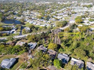 NEW ROOF ON ITS WAY ---- ENJOY THE VIEW ~ Wake up with morning on Highland Lakes Executive Golf Course in Florida - for sale on GolfHomes.com, golf home, golf lot