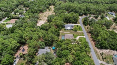 Beautifully decorated Citrus Springs Pool home with 3 bedrooms on Citrus Springs Country Club in Florida - for sale on GolfHomes.com, golf home, golf lot