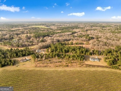 Discover the perfect blend of tranquility and convenience with on Woods Golf Course in Georgia - for sale on GolfHomes.com, golf home, golf lot