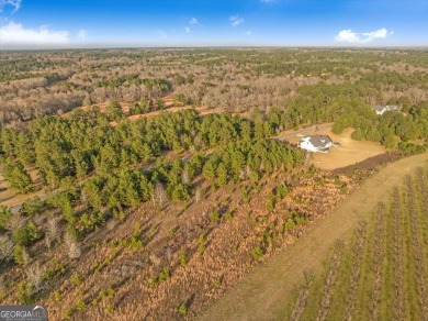 Discover the perfect blend of tranquility and convenience with on Woods Golf Course in Georgia - for sale on GolfHomes.com, golf home, golf lot