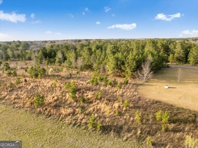 Discover the perfect blend of tranquility and convenience with on Woods Golf Course in Georgia - for sale on GolfHomes.com, golf home, golf lot