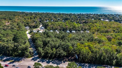 Family owned land.   Currently zoned Agriculture.  Could be on True Blue Plantation in South Carolina - for sale on GolfHomes.com, golf home, golf lot