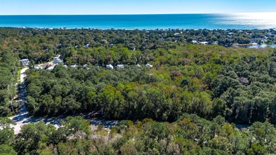 Family owned land.   Currently zoned Agriculture.  Could be on True Blue Plantation in South Carolina - for sale on GolfHomes.com, golf home, golf lot