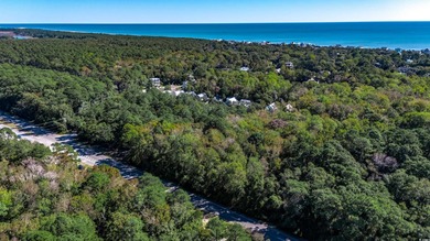 Family owned land.   Currently zoned Agriculture.  Could be on True Blue Plantation in South Carolina - for sale on GolfHomes.com, golf home, golf lot