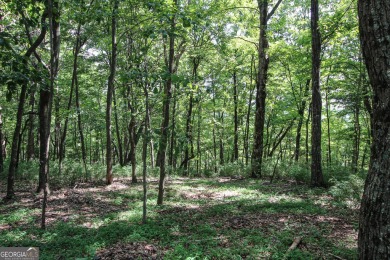 0.75 acre buildable lot on Disharoon Mountain with spectacular on Big Canoe Golf Club - Cherokee in Georgia - for sale on GolfHomes.com, golf home, golf lot