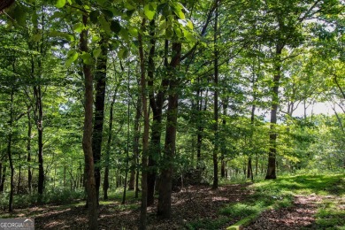 0.75 acre buildable lot on Disharoon Mountain with spectacular on Big Canoe Golf Club - Cherokee in Georgia - for sale on GolfHomes.com, golf home, golf lot