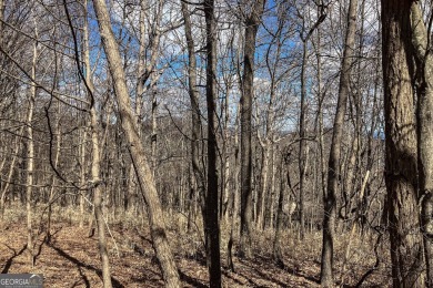 0.75 acre buildable lot on Disharoon Mountain with spectacular on Big Canoe Golf Club - Cherokee in Georgia - for sale on GolfHomes.com, golf home, golf lot