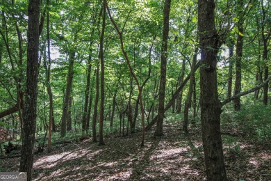 0.75 acre buildable lot on Disharoon Mountain with spectacular on Big Canoe Golf Club - Cherokee in Georgia - for sale on GolfHomes.com, golf home, golf lot