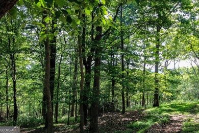 0.75 acre buildable lot on Disharoon Mountain with spectacular on Big Canoe Golf Club - Cherokee in Georgia - for sale on GolfHomes.com, golf home, golf lot