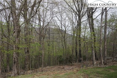 Looking for privacy in a golfing community? Here is your on Mountain Aire Golf Course in North Carolina - for sale on GolfHomes.com, golf home, golf lot