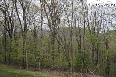 Looking for privacy in a golfing community? Here is your on Mountain Aire Golf Course in North Carolina - for sale on GolfHomes.com, golf home, golf lot