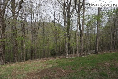 Looking for privacy in a golfing community? Here is your on Mountain Aire Golf Course in North Carolina - for sale on GolfHomes.com, golf home, golf lot