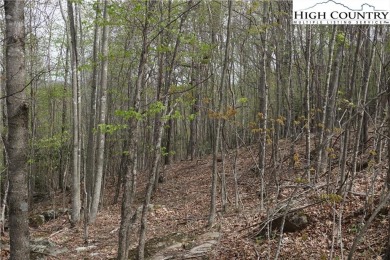 Looking for privacy in a golfing community? Here is your on Mountain Aire Golf Course in North Carolina - for sale on GolfHomes.com, golf home, golf lot
