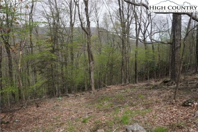 Looking for privacy in a golfing community? Here is your on Mountain Aire Golf Course in North Carolina - for sale on GolfHomes.com, golf home, golf lot