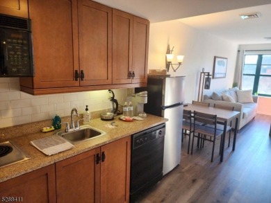 Stunning Pool & Ski Mountain Views!! This very rare Studio Plus on Minerals Golf Club in New Jersey - for sale on GolfHomes.com, golf home, golf lot