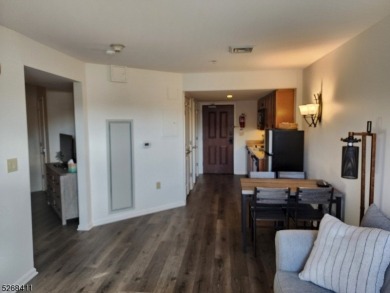 Stunning Pool & Ski Mountain Views!! This very rare Studio Plus on Minerals Golf Club in New Jersey - for sale on GolfHomes.com, golf home, golf lot