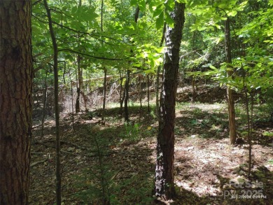 Discover a stunning, sizeable wooded lot in the vibrant mountain on Rumbling Bald Resort on Lake Lure in North Carolina - for sale on GolfHomes.com, golf home, golf lot
