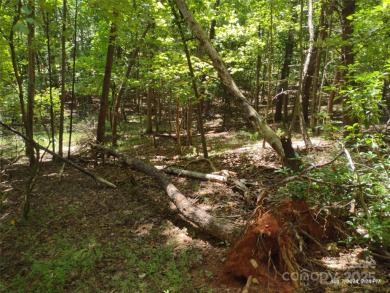 Discover a stunning, sizeable wooded lot in the vibrant mountain on Rumbling Bald Resort on Lake Lure in North Carolina - for sale on GolfHomes.com, golf home, golf lot