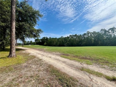 Gorgeous Golf Course Homesite in Cooper's Point!! Perfect for on Sapelo Hammock Golf Club in Georgia - for sale on GolfHomes.com, golf home, golf lot