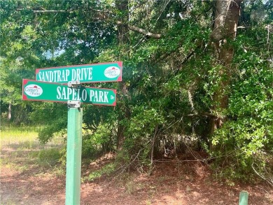 Gorgeous Golf Course Homesite in Cooper's Point!! Perfect for on Sapelo Hammock Golf Club in Georgia - for sale on GolfHomes.com, golf home, golf lot