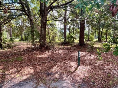 Gorgeous Golf Course Homesite in Cooper's Point!! Perfect for on Sapelo Hammock Golf Club in Georgia - for sale on GolfHomes.com, golf home, golf lot