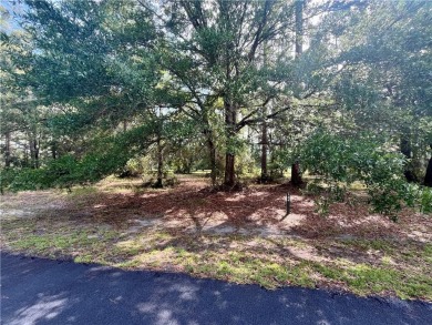 Gorgeous Golf Course Homesite in Cooper's Point!! Perfect for on Sapelo Hammock Golf Club in Georgia - for sale on GolfHomes.com, golf home, golf lot
