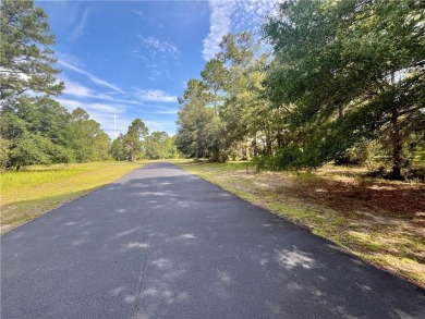 Gorgeous Golf Course Homesite in Cooper's Point!! Perfect for on Sapelo Hammock Golf Club in Georgia - for sale on GolfHomes.com, golf home, golf lot