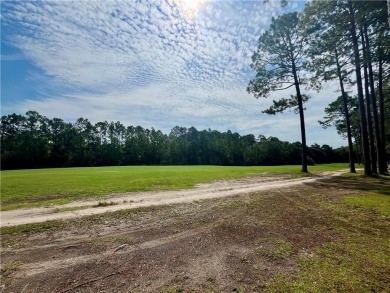 Gorgeous Golf Course Homesite in Cooper's Point!! Perfect for on Sapelo Hammock Golf Club in Georgia - for sale on GolfHomes.com, golf home, golf lot