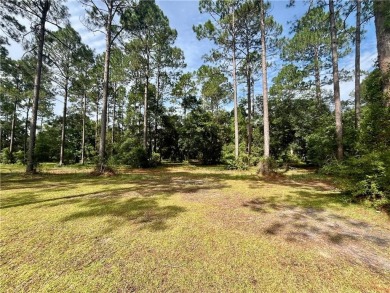 Gorgeous Golf Course Homesite in Cooper's Point!! Perfect for on Sapelo Hammock Golf Club in Georgia - for sale on GolfHomes.com, golf home, golf lot