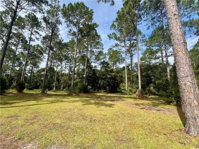 Gorgeous Golf Course Homesite in Cooper's Point!! Perfect for on Sapelo Hammock Golf Club in Georgia - for sale on GolfHomes.com, golf home, golf lot