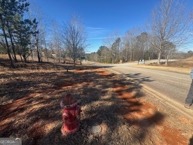 Premier Homesite at Currahee Club - 1541 Currahee Club Drive! on Currahee Golf Club in Georgia - for sale on GolfHomes.com, golf home, golf lot