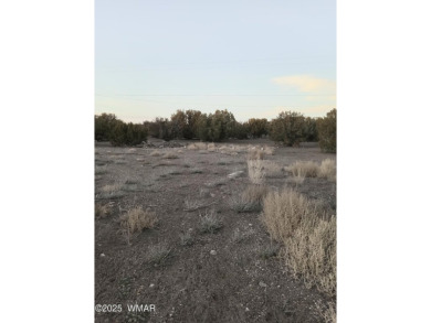 This .23 acre lot is located in the White Mountain Lakes area on Silver Creek Golf Club in Arizona - for sale on GolfHomes.com, golf home, golf lot